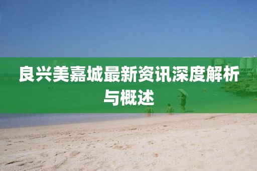 良興美嘉城最新資訊深度解析與概述