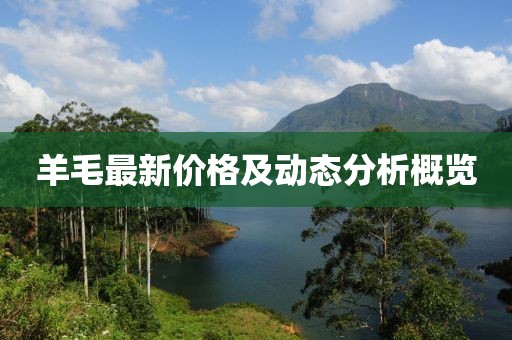 羊毛最新價(jià)格及動(dòng)態(tài)分析概覽