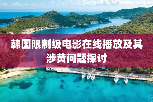 韓國限制級電影在線播放及其涉黃問題探討