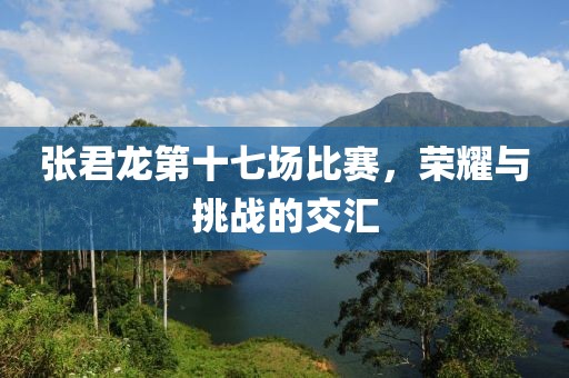 張君龍第十七場比賽，榮耀與挑戰(zhàn)的交匯