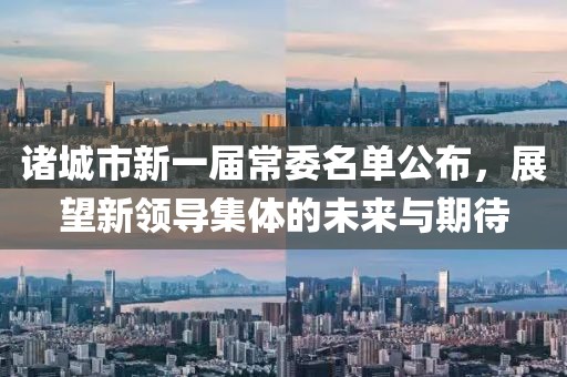 諸城市新一屆常委名單公布，展望新領(lǐng)導(dǎo)集體的未來(lái)與期待