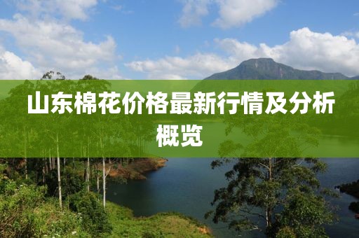 山東棉花價格最新行情及分析概覽