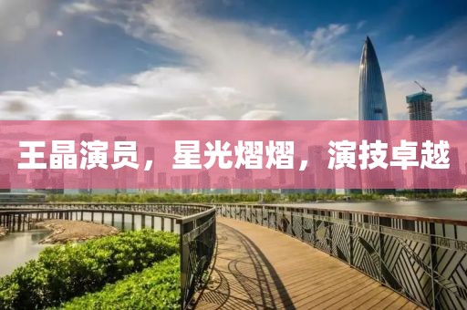 王晶演員，星光熠熠，演技卓越