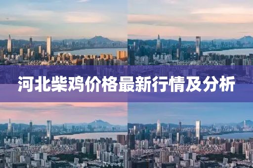 河北柴雞價格最新行情及分析