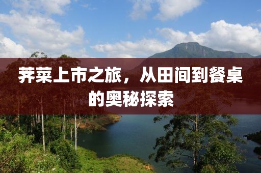 薺菜上市之旅，從田間到餐桌的奧秘探索