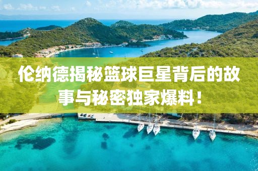 流星的眼淚 第17頁