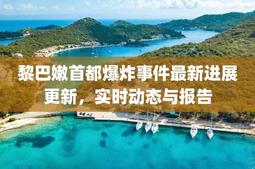 黎巴嫩首都爆炸事件最新進展更新，實時動態(tài)與報告