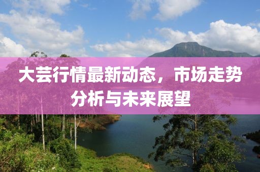 大蕓行情最新動(dòng)態(tài)，市場(chǎng)走勢(shì)分析與未來(lái)展望
