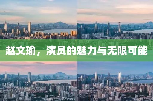 趙文瑜，演員的魅力與無(wú)限可能