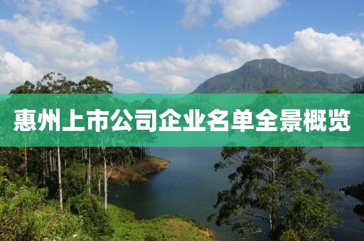 惠州上市公司企業(yè)名單全景概覽
