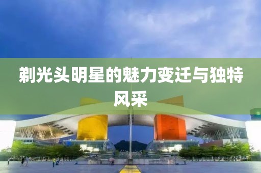 剃光頭明星的魅力變遷與獨(dú)特風(fēng)采