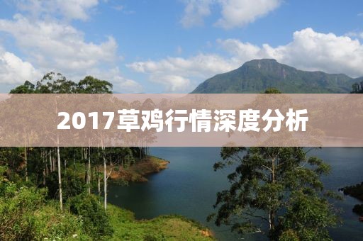 2017草雞行情深度分析