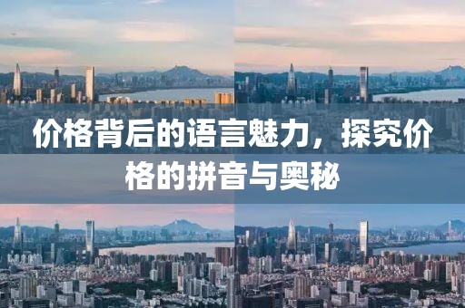 價格背后的語言魅力，探究價格的拼音與奧秘