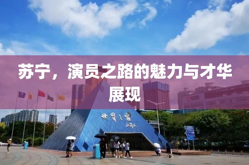 蘇寧，演員之路的魅力與才華展現(xiàn)