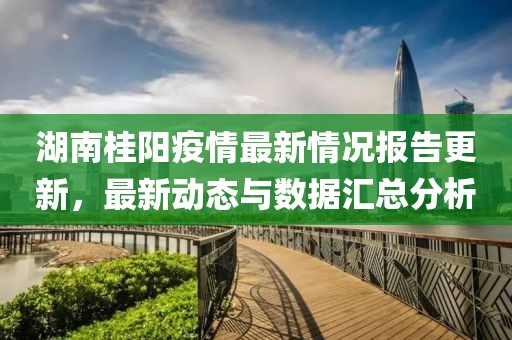 湖南桂陽(yáng)疫情最新情況報(bào)告更新，最新動(dòng)態(tài)與數(shù)據(jù)匯總分析