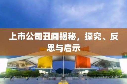 上市公司丑聞揭秘，探究、反思與啟示