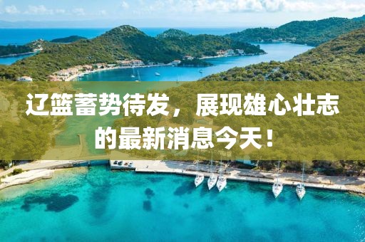 遼籃蓄勢(shì)待發(fā)，展現(xiàn)雄心壯志的最新消息今天！
