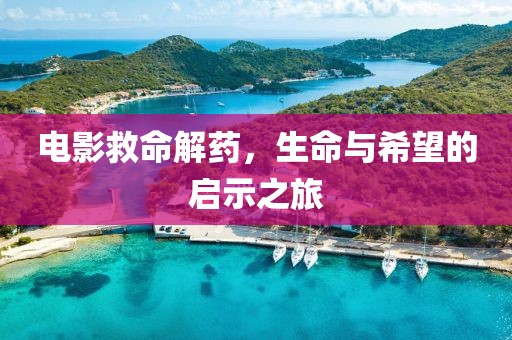 電影救命解藥，生命與希望的啟示之旅