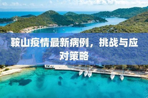 鞍山疫情最新病例，挑戰(zhàn)與應(yīng)對策略