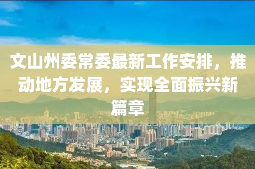文山州委常委最新工作安排，推動(dòng)地方發(fā)展，實(shí)現(xiàn)全面振興新篇章