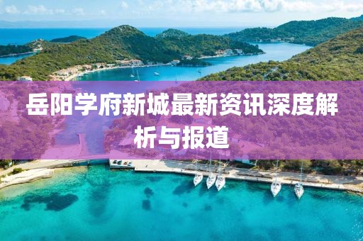 岳陽學府新城最新資訊深度解析與報道