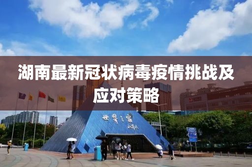 湖南最新冠狀病毒疫情挑戰(zhàn)及應(yīng)對(duì)策略