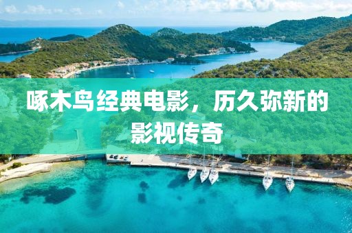 啄木鳥經典電影，歷久彌新的影視傳奇