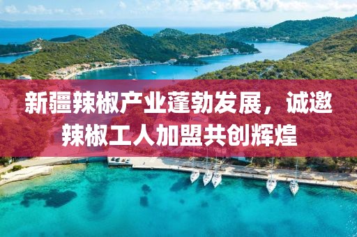 新疆辣椒產(chǎn)業(yè)蓬勃發(fā)展，誠邀辣椒工人加盟共創(chuàng)輝煌