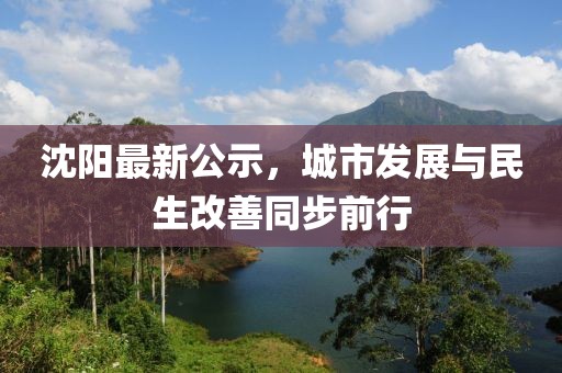 沈陽(yáng)最新公示，城市發(fā)展與民生改善同步前行