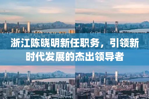 浙江陳曉明新任職務，引領新時代發(fā)展的杰出領導者