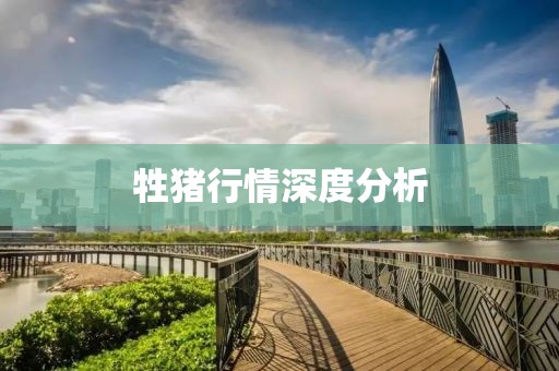 牲豬行情深度分析