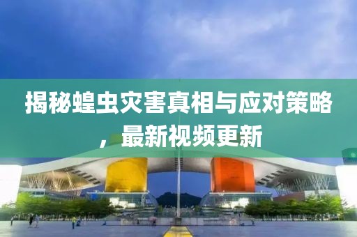 揭秘蝗蟲災(zāi)害真相與應(yīng)對策略，最新視頻更新
