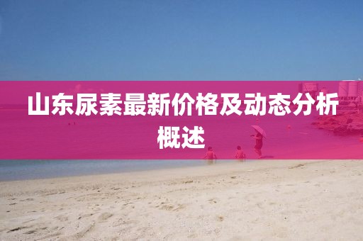 山東尿素最新價格及動態(tài)分析概述