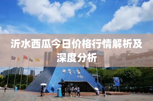 沂水西瓜今日價格行情解析及深度分析