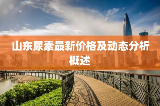 山東尿素最新價格及動態(tài)分析概述