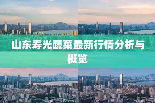 山東壽光蔬菜最新行情分析與概覽