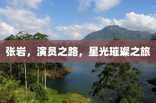 張巖，演員之路，星光璀璨之旅