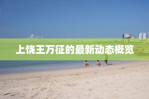 上饒王萬征的最新動態(tài)概覽