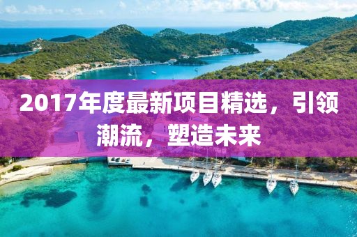 2017年度最新項目精選，引領(lǐng)潮流，塑造未來