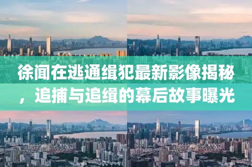 徐聞在逃通緝犯最新影像揭秘，追捕與追緝的幕后故事曝光