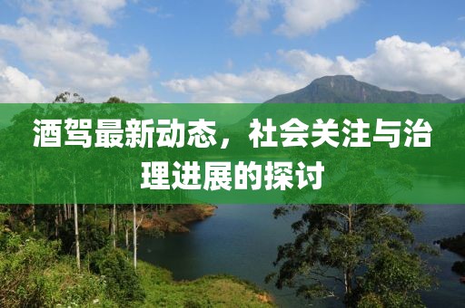 酒駕最新動(dòng)態(tài)，社會(huì)關(guān)注與治理進(jìn)展的探討