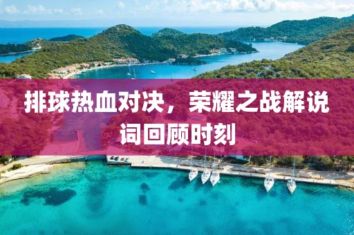 排球熱血對決，榮耀之戰(zhàn)解說詞回顧時刻