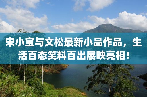 宋小寶與文松最新小品作品，生活百態(tài)笑料百出展映亮相！