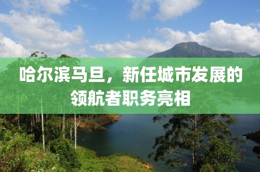 哈爾濱馬旦，新任城市發(fā)展的領(lǐng)航者職務(wù)亮相