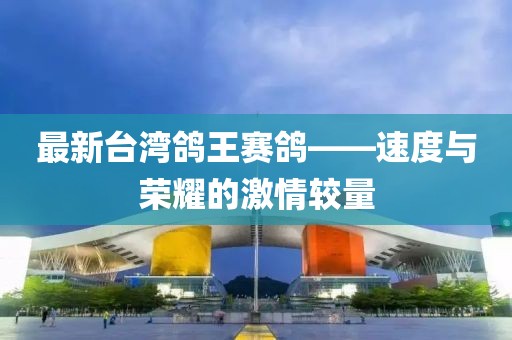 最新臺(tái)灣鴿王賽鴿——速度與榮耀的激情較量