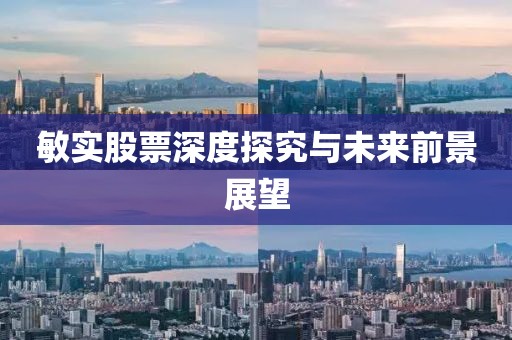 敏實(shí)股票深度探究與未來前景展望