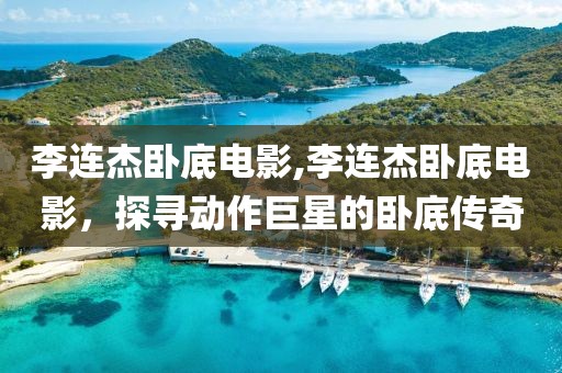 李連杰臥底電影,李連杰臥底電影，探尋動(dòng)作巨星的臥底傳奇