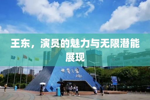 王東，演員的魅力與無限潛能展現(xiàn)