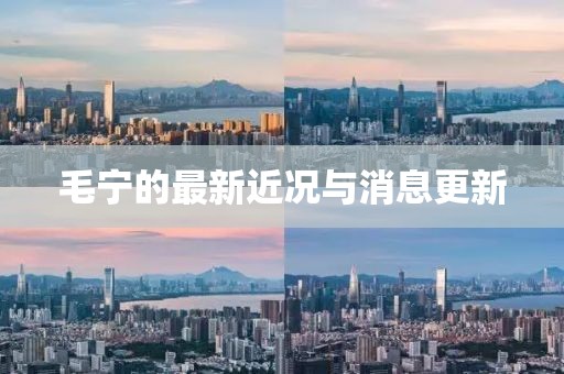毛寧的最新近況與消息更新