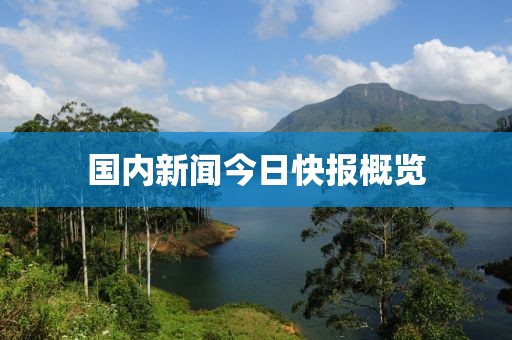 國(guó)內(nèi)新聞今日快報(bào)概覽